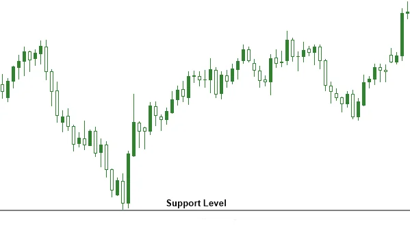 Support Line